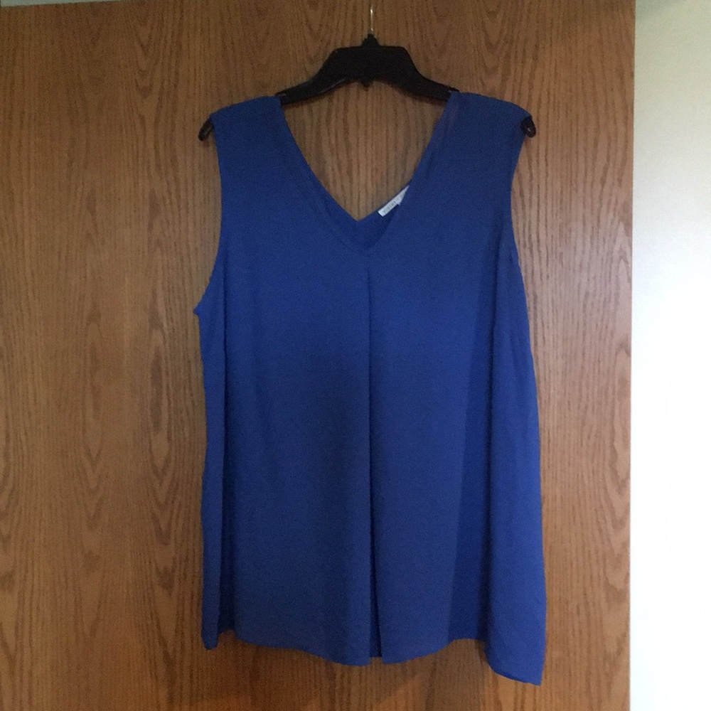 Violet & Claire blue sleeveless top